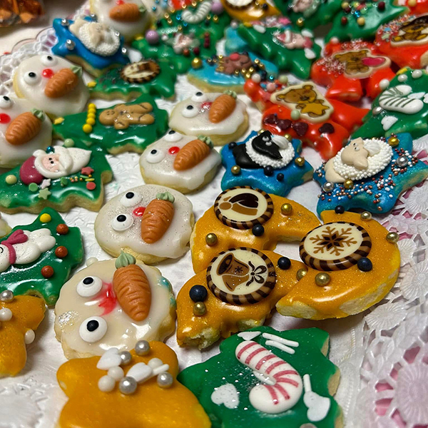 Fully Decorated German Biscuits