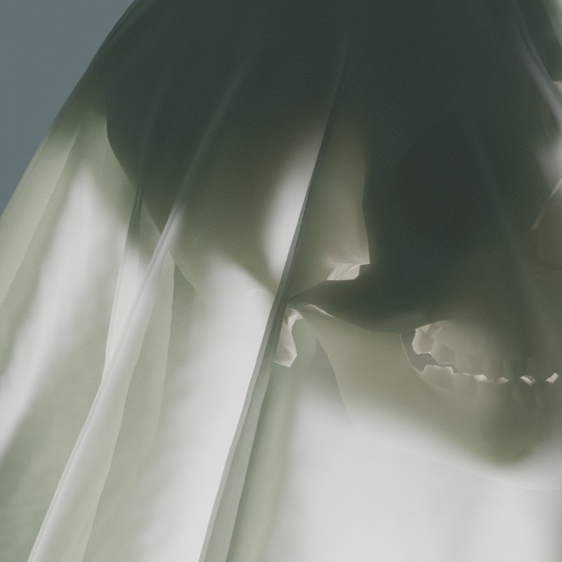 Skull Drape 2
