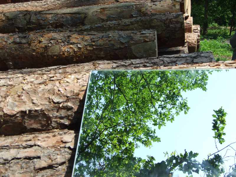 Mirror Wald