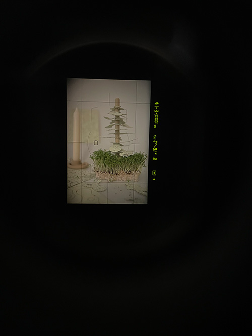 cressmastree