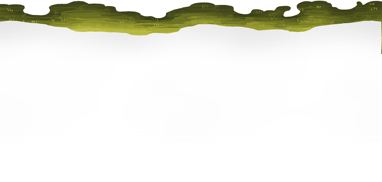 Illustrated Background for Selma's favourite Projects