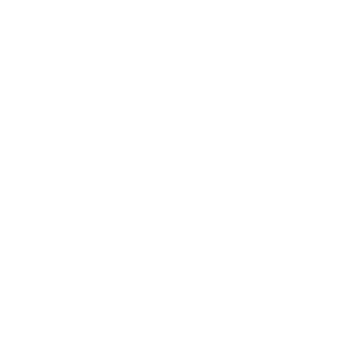 Burger icon