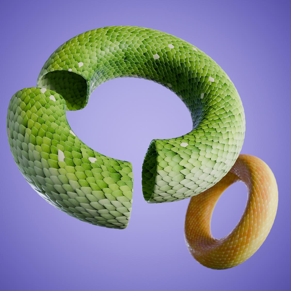 Snake Skin Study Zoom