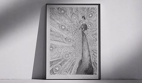 Metamorphose