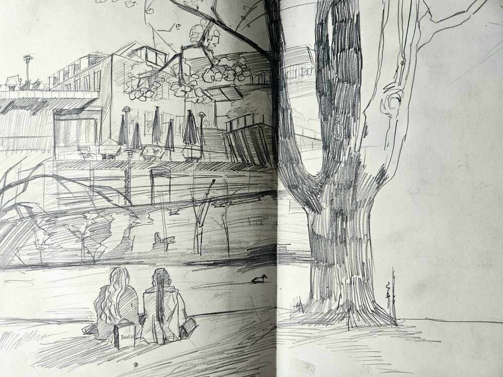Sketch 5