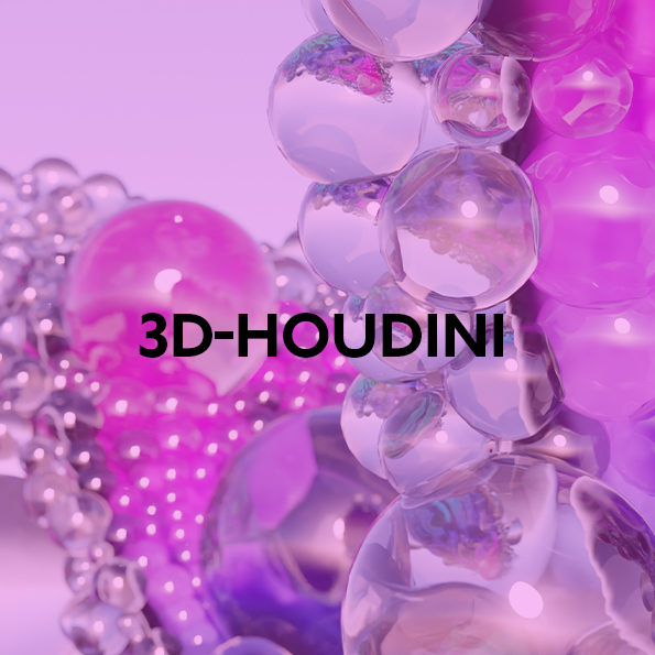 3D-Houdini